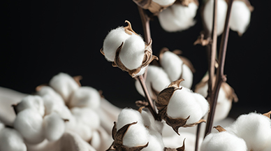 Quali sono i vantaggi dei tessuti di cotone organico?